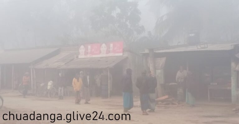 শীতে কাঁপছে চুয়াডাঙ্গা