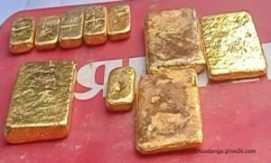 চুয়াডাঙ্গায় ধারালো অস্ত্রে দুই যুবককে কুপিয়ে জখম | সারা সপ্তাহের খবর