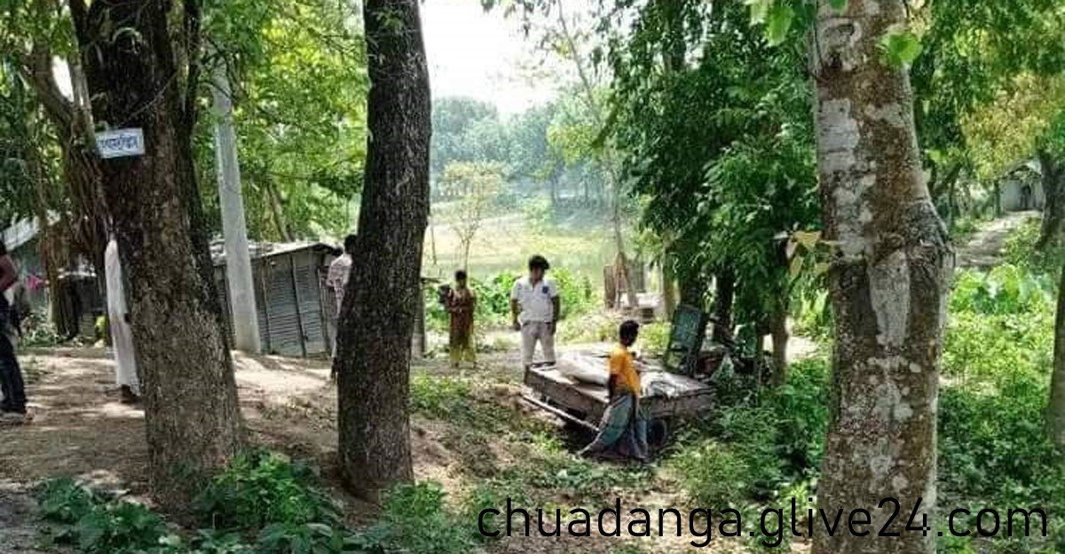 আলমসাধু উল্টে চালক নিহত চুয়াডাঙ্গায়