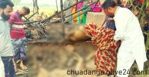 কয়েলের আগুনে পুড়লো বিধবার দুই গরু