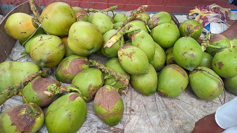 গরমের সঙ্গে বাড়ছে তরমুজ-ডাবের দাম | সারা সপ্তাহের খবর