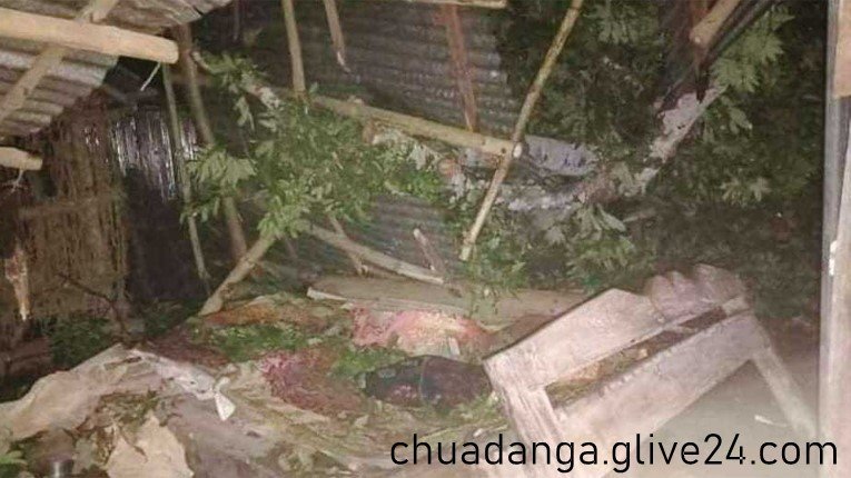 গাছচাপায় নারী নিহত চুয়াডাঙ্গায়