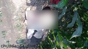 ভুট্টাক্ষেতে মিললো নারীর মরদেহ