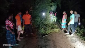 সড়কে গাছ ফেলে গণডাকাতি ৩০ লাখ টাকা লুট চুয়াডাঙ্গায়