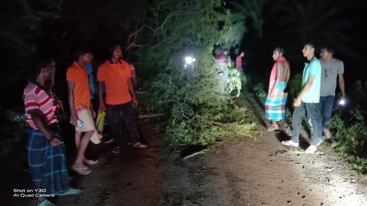 সড়কে গাছ ফেলে গণডাকাতি ৩০ লাখ টাকা লুট চুয়াডাঙ্গায়