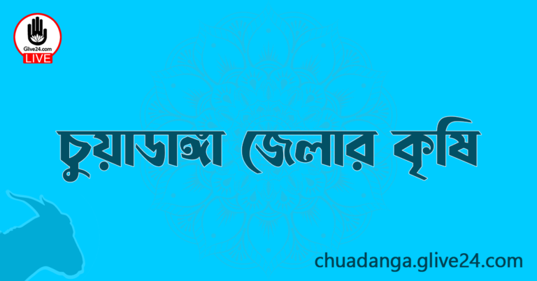 চুয়াডাঙ্গা জেলার কৃষি