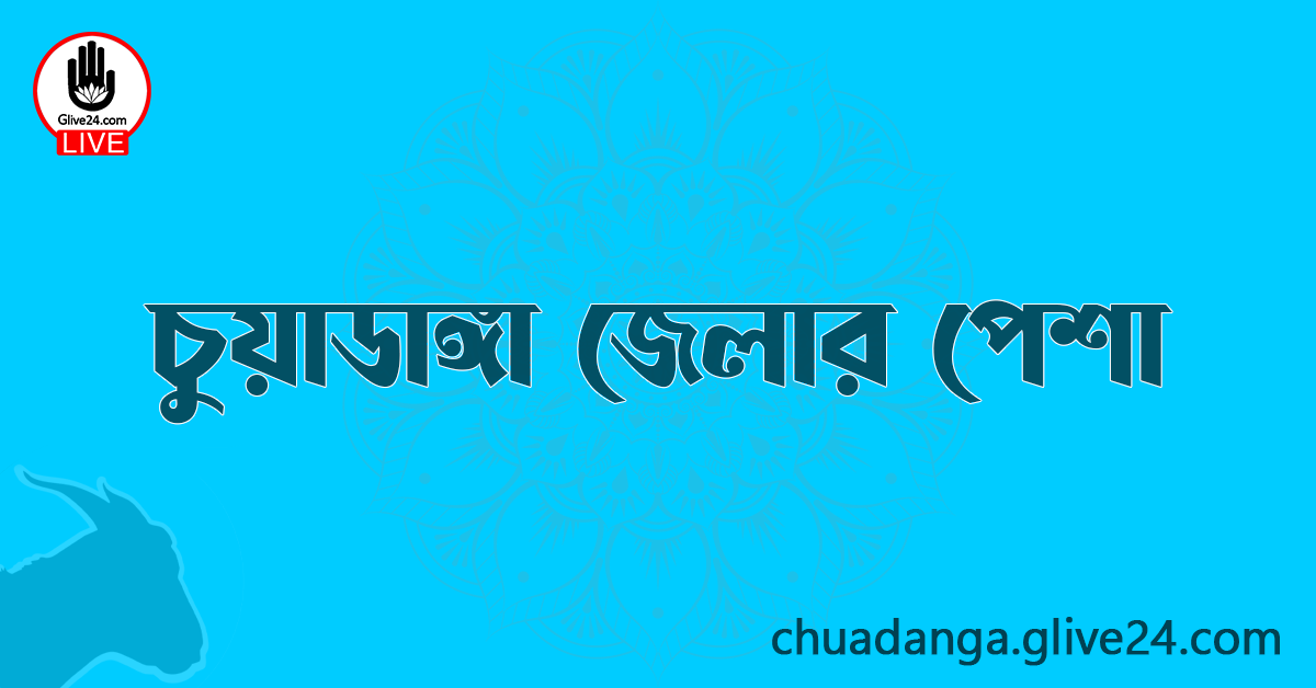 চুয়াডাঙ্গা জেলার পেশা