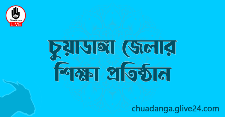 চুয়াডাঙ্গা জেলার শিক্ষা প্রতিষ্ঠান