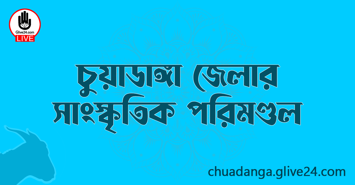 চুয়াডাঙ্গা জেলার সাংস্কৃতিক পরিমণ্ডল